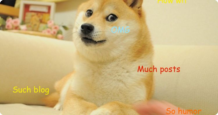 Very doge.